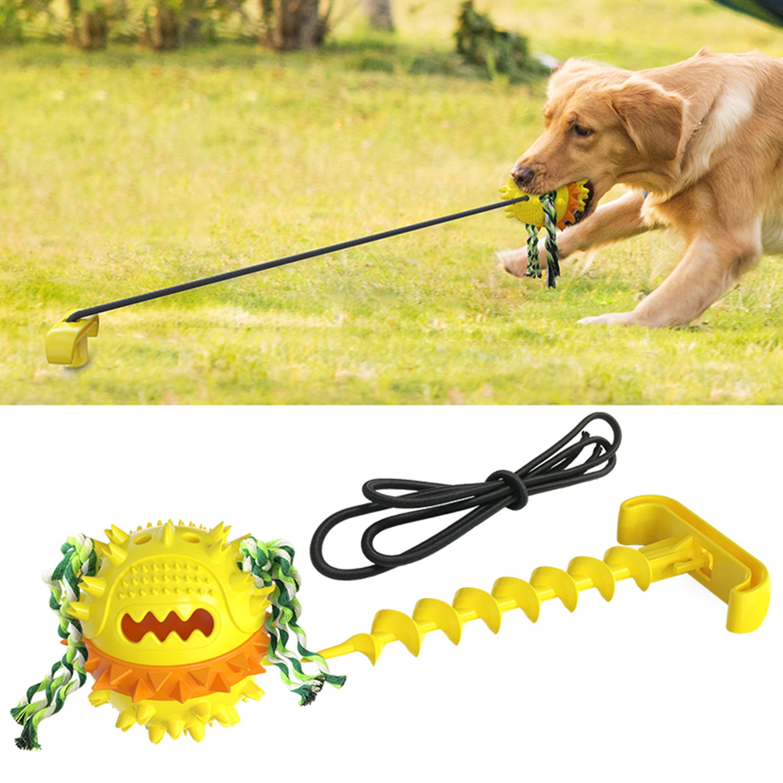 Jolly time dog toys best sale